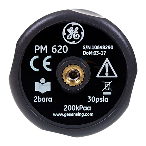 PM620