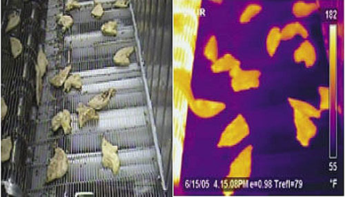 使用红外温度测量和热图像来定位未熟鸡肉