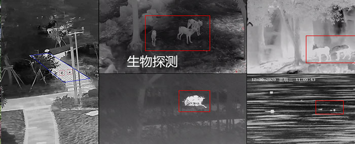  双光谱转台生物探测