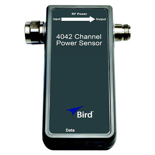 Bird4042